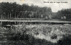 15247 Gezicht op een meertje aan de rand van een bos met naaldbomen te Lage Vuursche (gemeente Baarn).